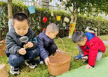 播撒绿色希望，共绘成长画卷——记翰林幼儿园植树节活动